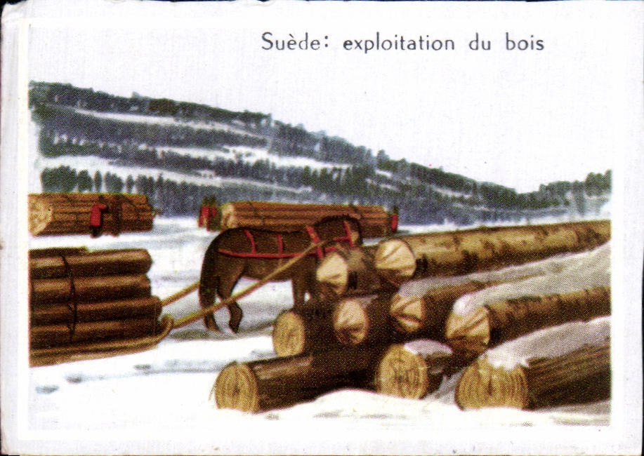 Image Suede exploitation du bois Sweden 