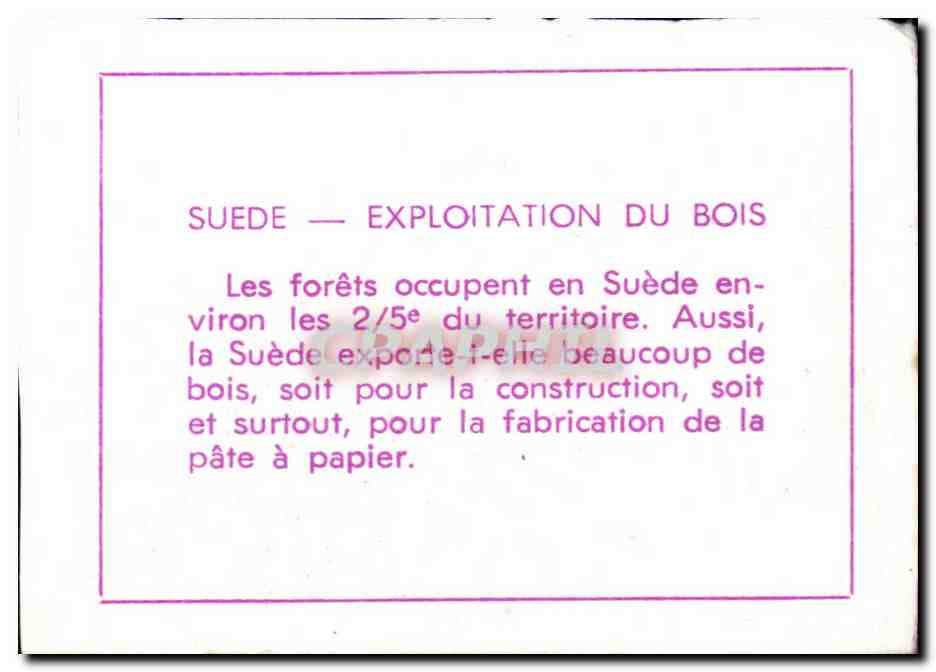 Image Suede exploitation du bois Sweden  — Verso