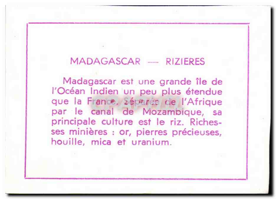 Image Madagascar rizieres Malagasy — Verso