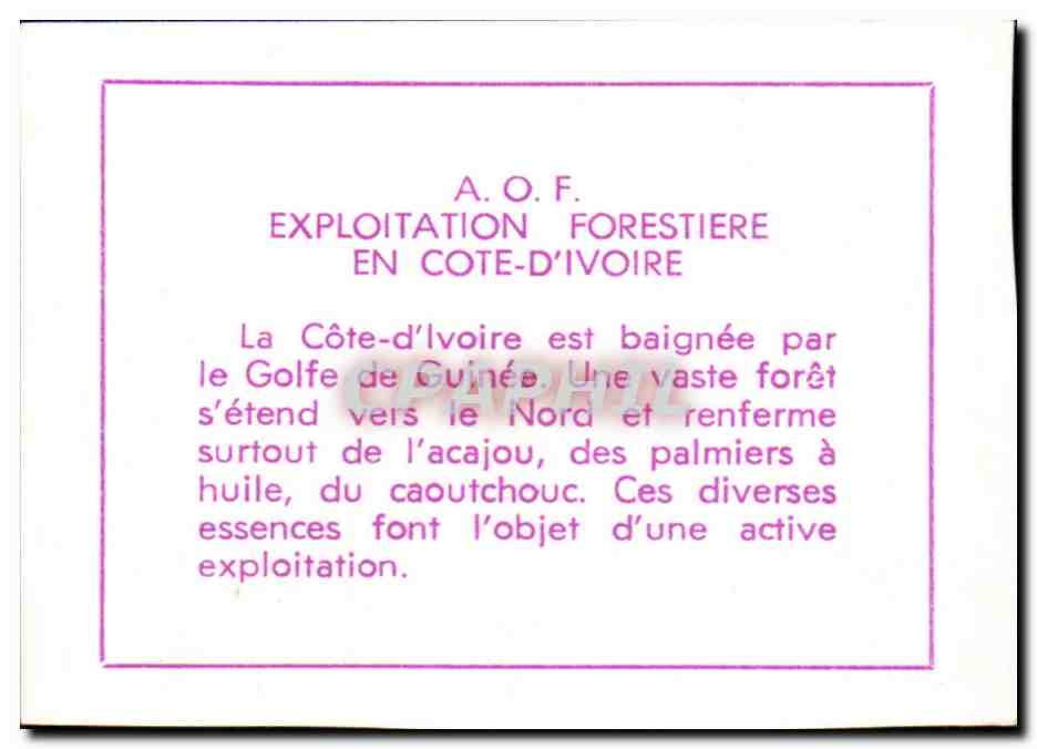 Image exploitation forestiere en Cote d lvoire — Verso