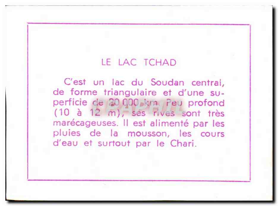 Image Le Lac Tchad Afrique Africa — Rückseite