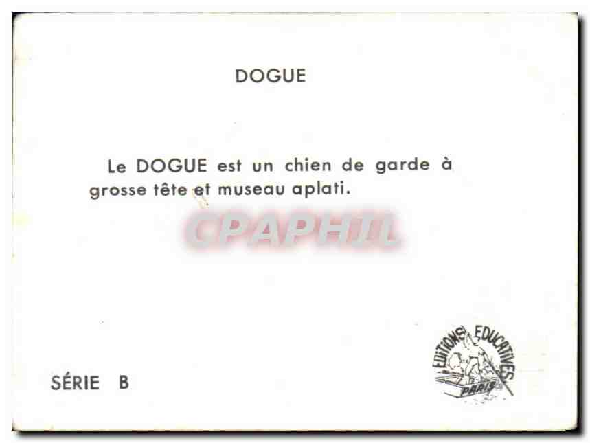 Image Dogue Chien — Verso