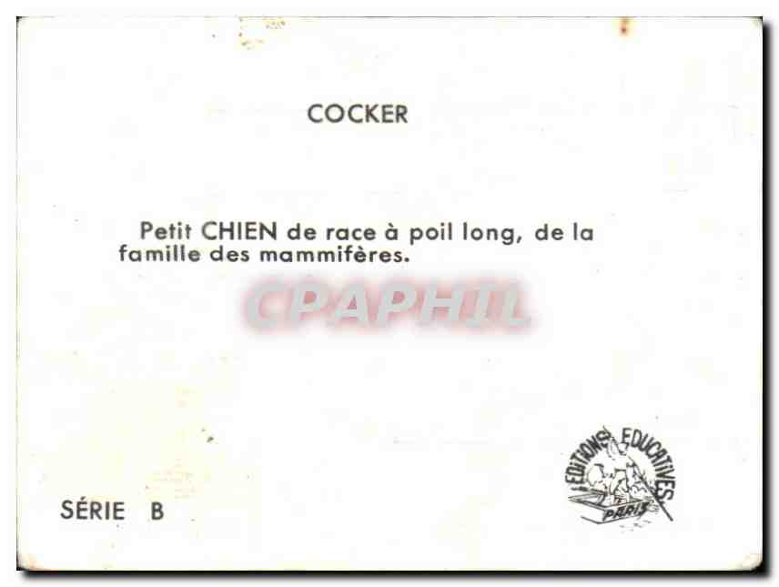 Image Cocker Chien  — Verso