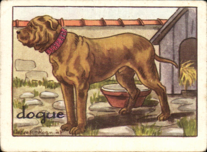 Image Dogue Chien 