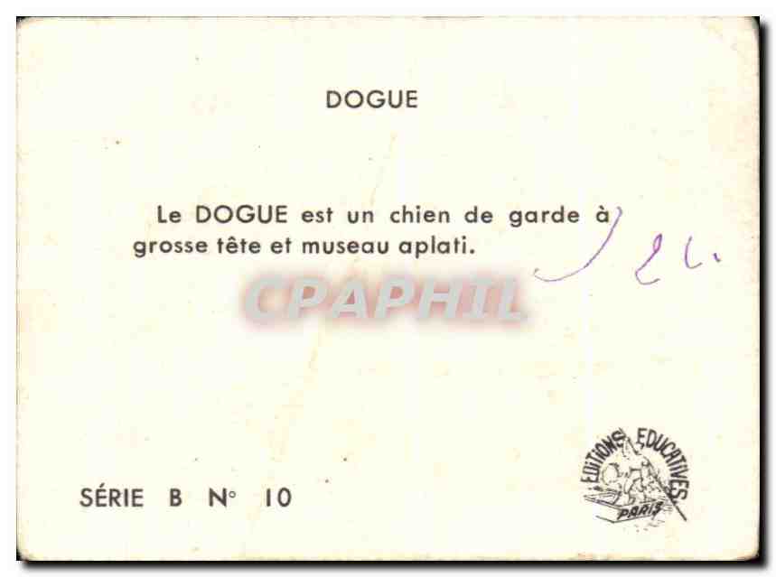 Image Dogue Chien  — Rückseite