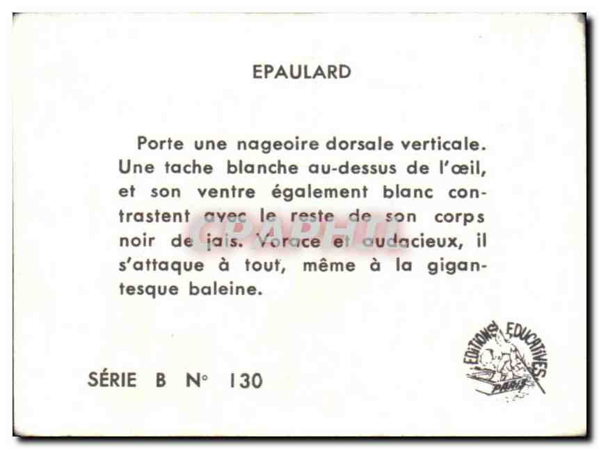 Image Epaulard — Verso