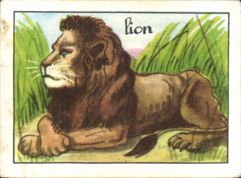Image Lion