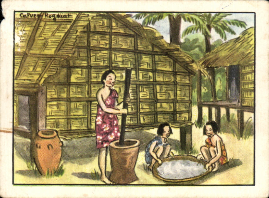 Image Case Annamite Indochine Vietnam