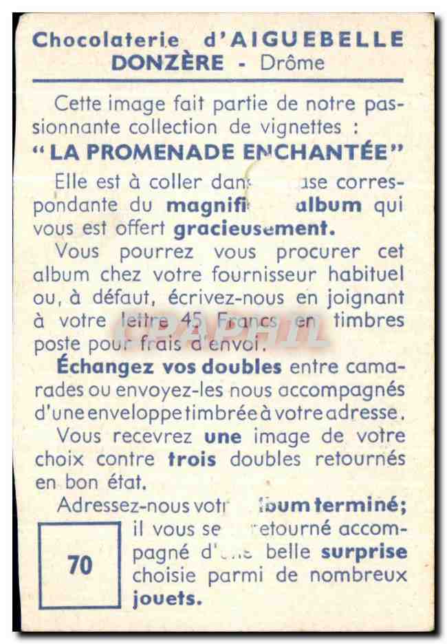 Image Marabout A Sac Aiguebelle oiseau Bird — Rückseite