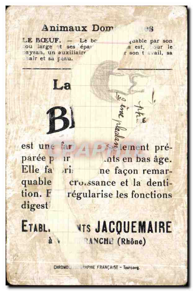 Image Boeuf Bledine — Rückseite