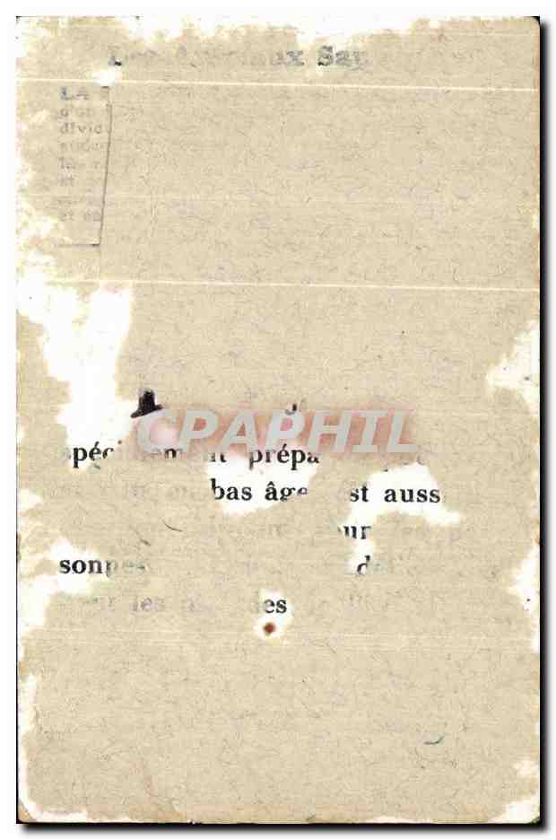 Image Panthere Bledine — Verso