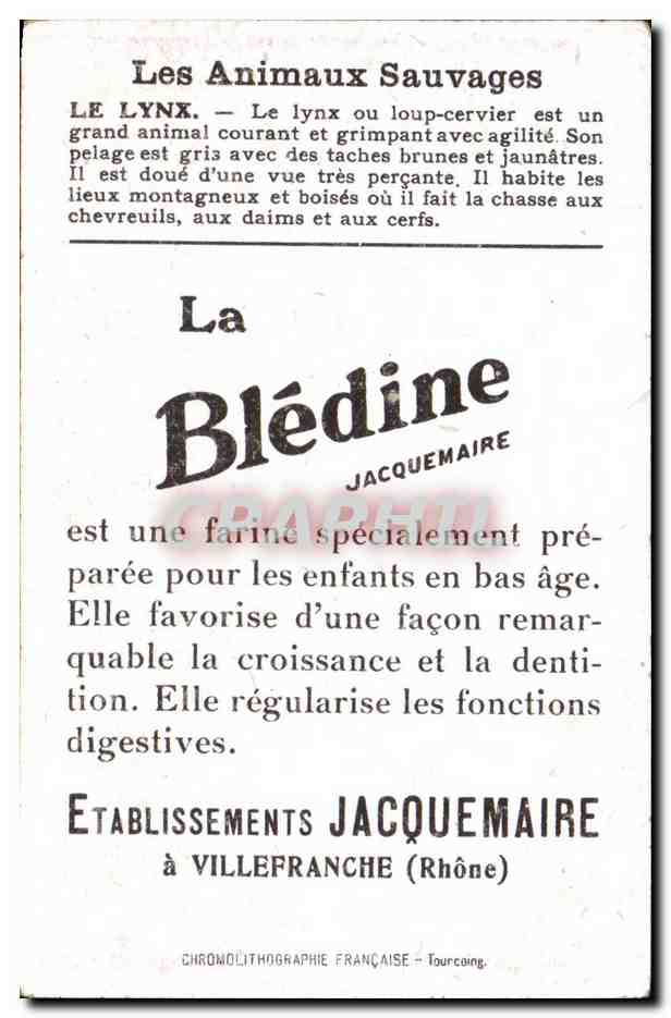 Image Lynx Bledine Jacquemaire Villefrance — Verso