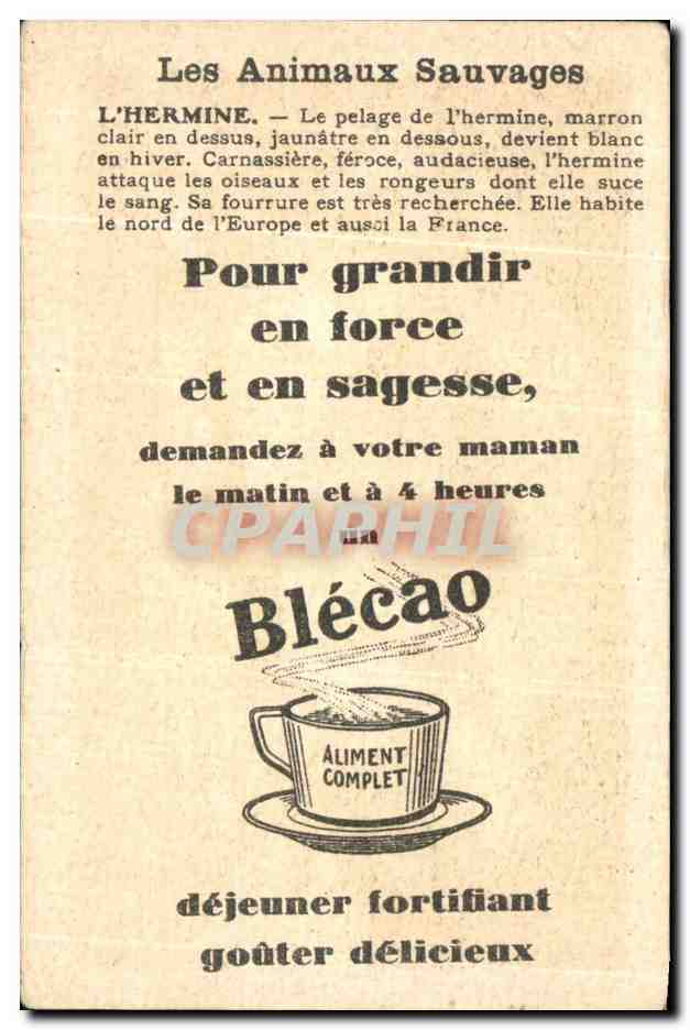 Image Hermine Bledine Jacquemaire Villefrance — Verso