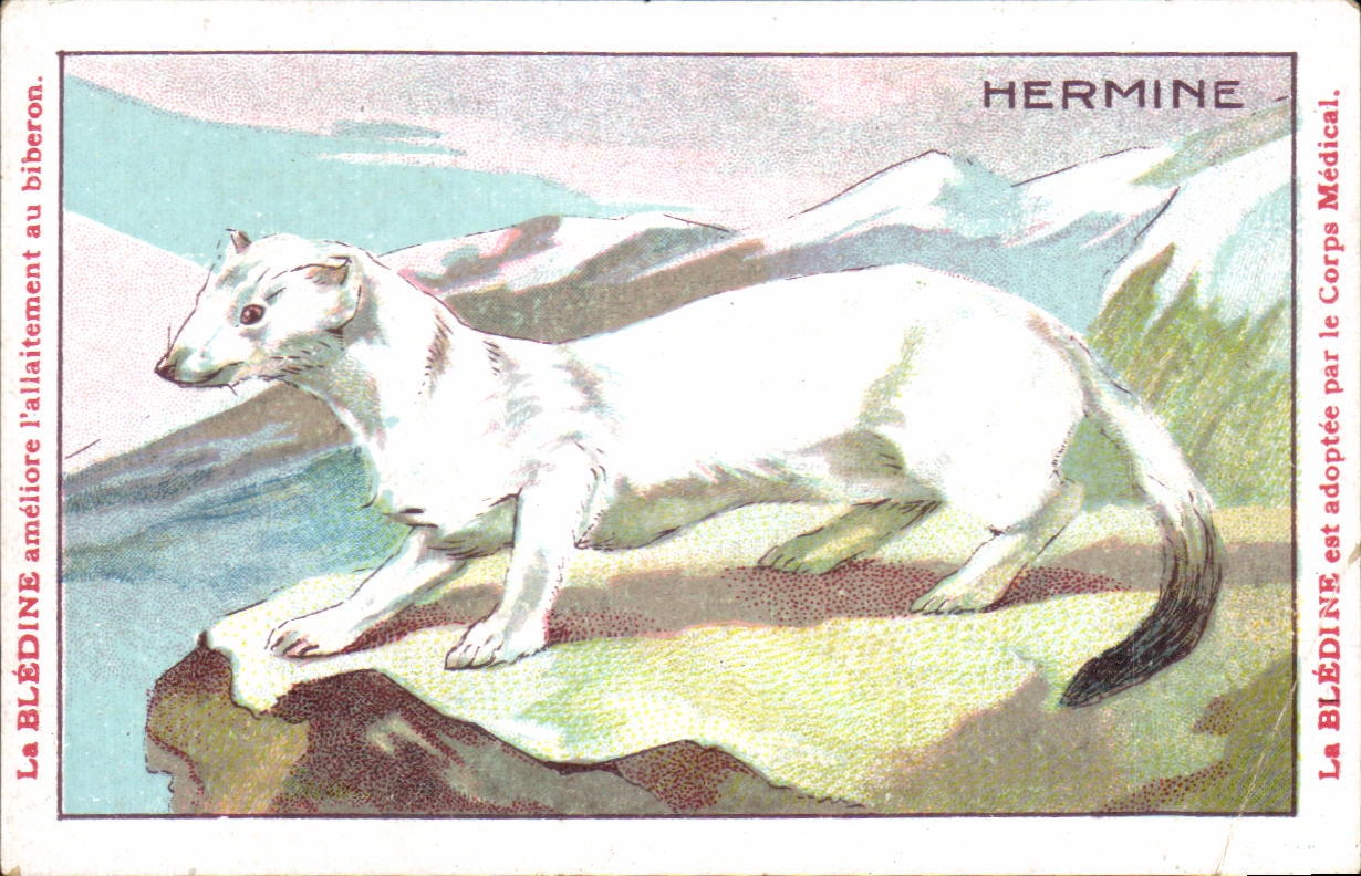 Image Hermine Verrulyse Jacquemaire Villefrance
