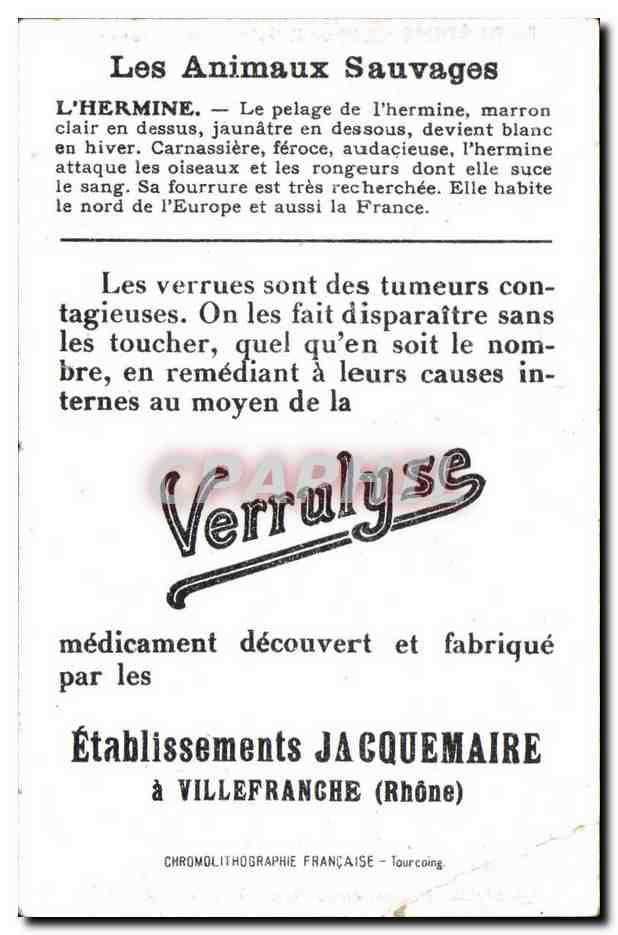 Image Hermine Verrulyse Jacquemaire Villefrance — Rückseite