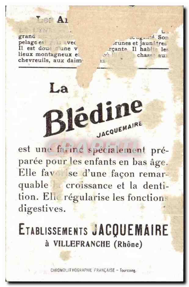 Image Lynx Bledine Jacquemaire Villefrance — Rückseite