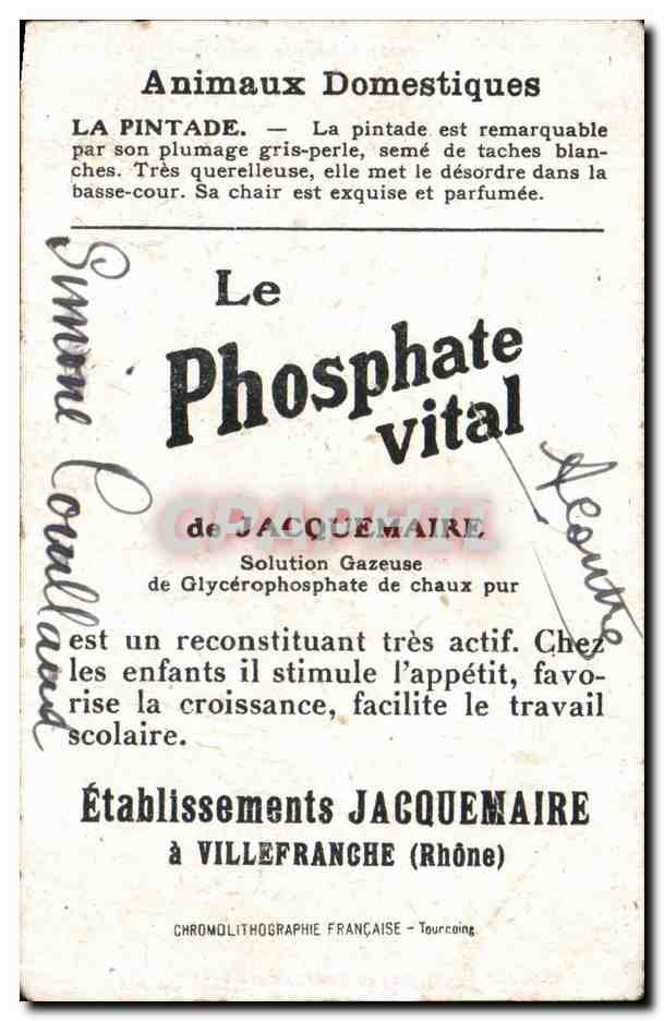 Image Pintade Phosphate Vital Jacquemaire Villefrance — Verso
