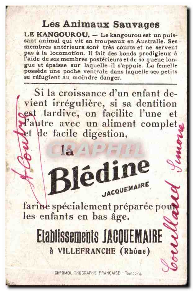 Image Kangourou Bledine Jacquemaire Villefranche — Rückseite