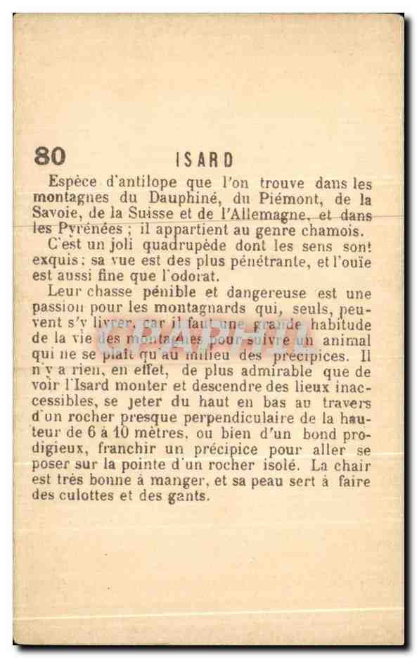 Isard — espèce d'antilope — IZARD n°80 — Rückseite