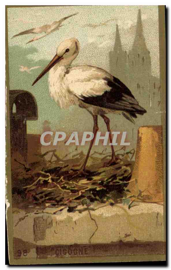 Chromo Cigogne Strasbourg