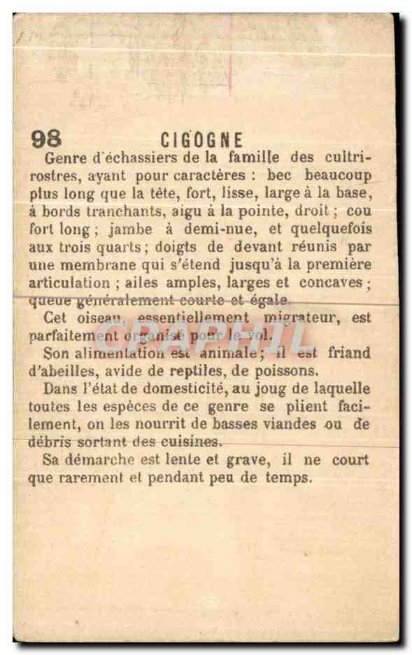 Chromo Cigogne Strasbourg — Verso