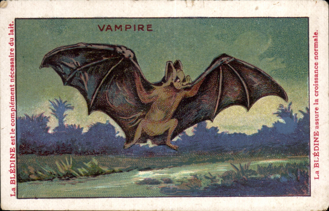 Image Vampire Bledine Jacquemaire Villefranche Chauve Souris