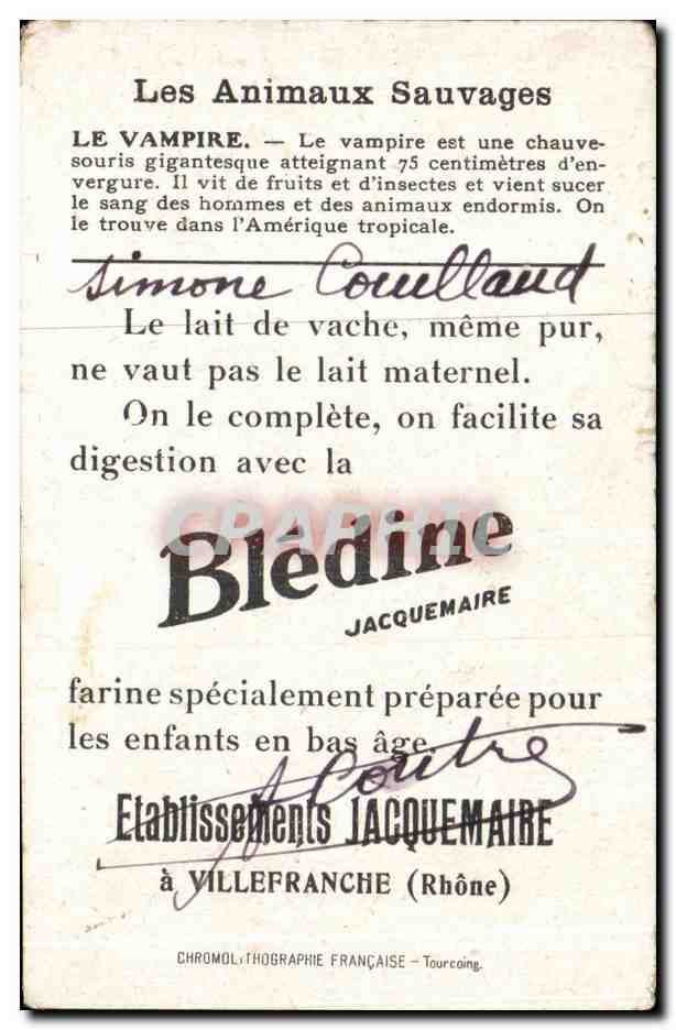 Image Vampire Bledine Jacquemaire Villefranche Chauve Souris — Verso