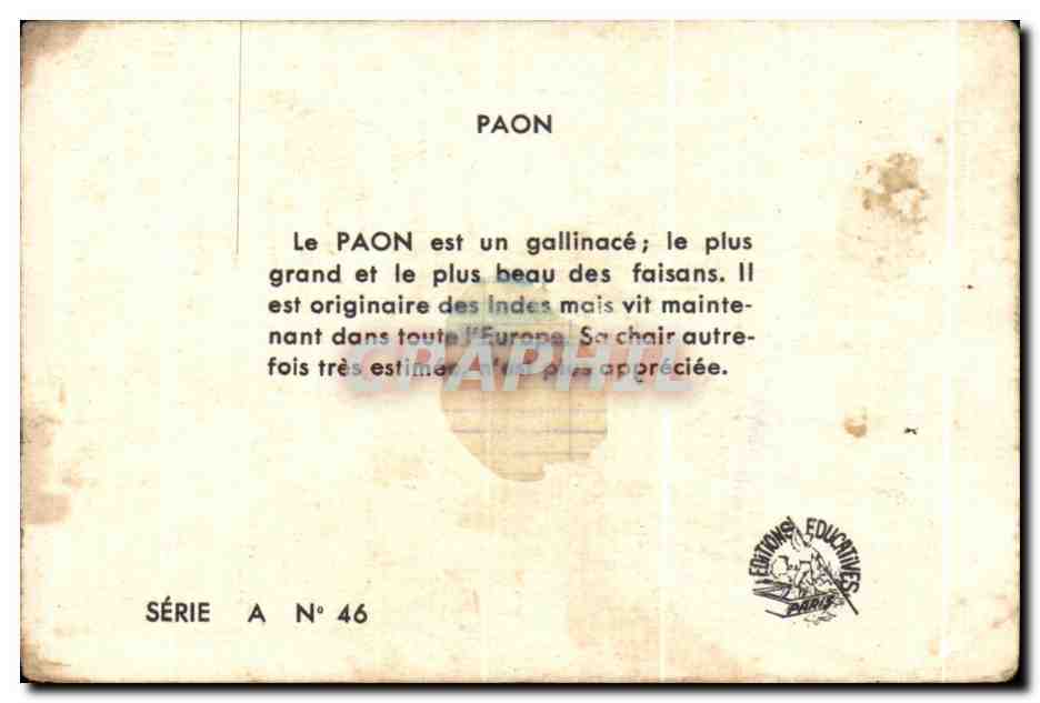 Image Le paon — Rückseite