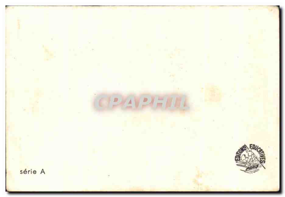Image Un renard inquiet Lappin  — Verso