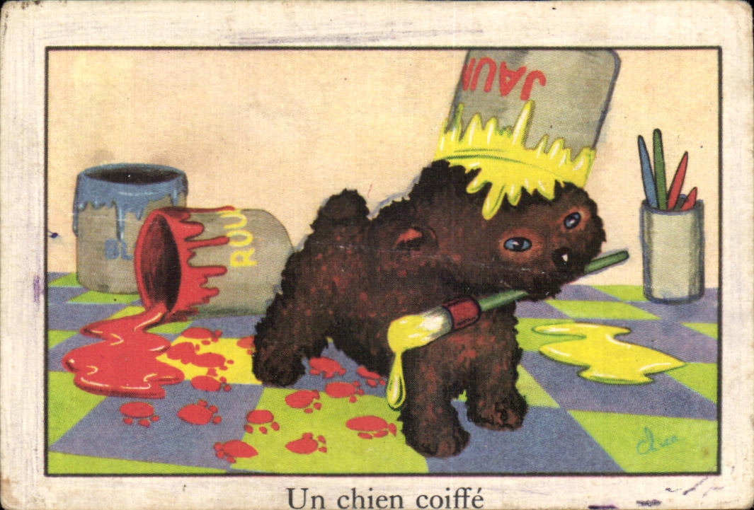 Image Un chien coiffe 