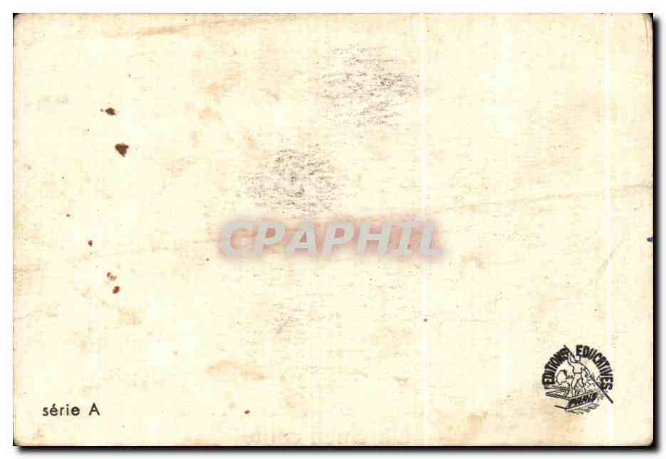 Image Un chien coiffe  — Verso