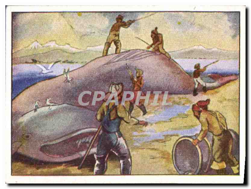 Image Les flots ont pousse vers la terre Chasse aux fauves