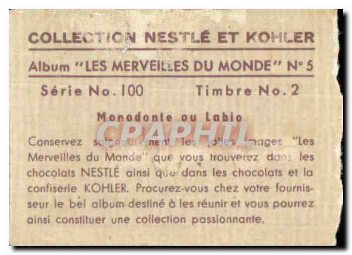 Image Collection Nestle Et Kohler Monodonte ou Labio  — Verso
