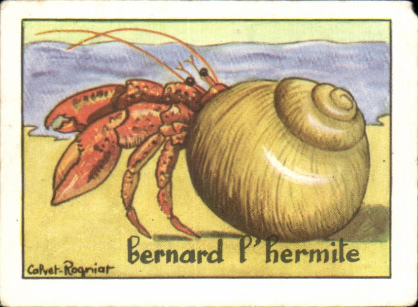Image Bernard L ermite 