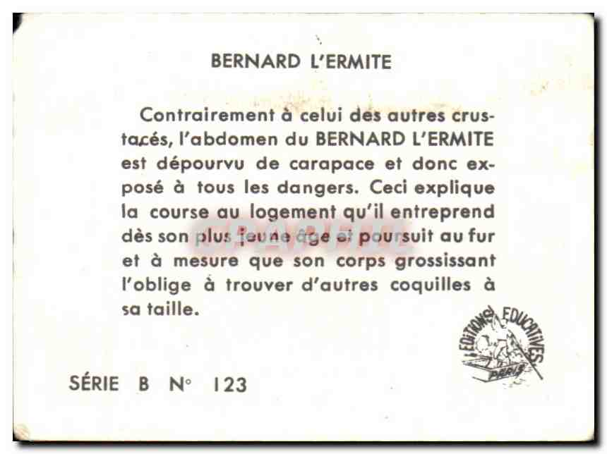 Image Bernard L ermite  — Verso