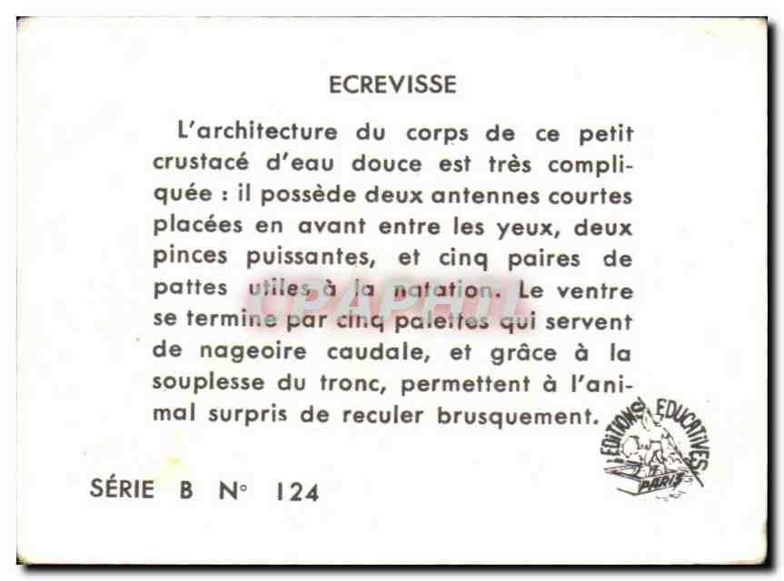 Image Ecrevisse  — Verso