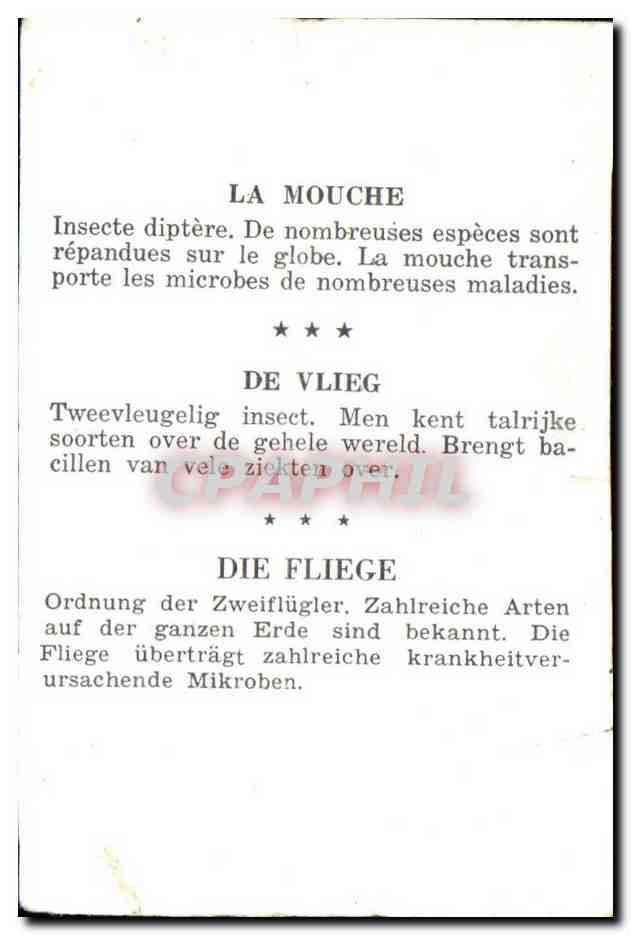 Image Le Mouche  — Rückseite