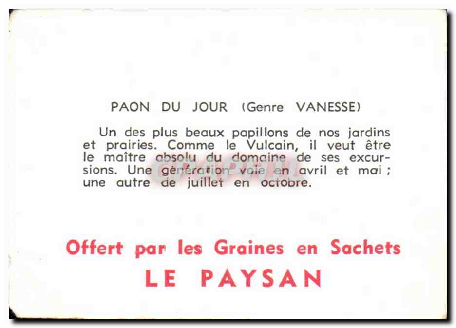 Image Paon Du Jour Le paysan Papillon  — Verso