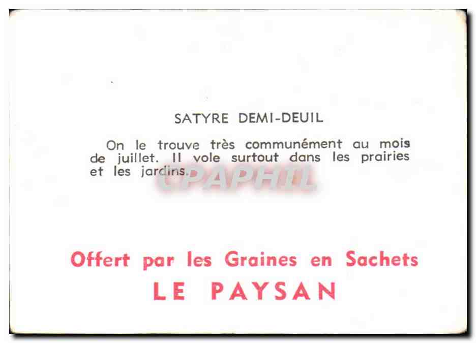 Image Satyre Demi Deuil Papillon  — Rückseite