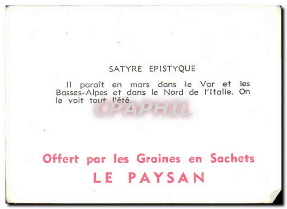 Image Satyre Epistyque Papillon  — Verso