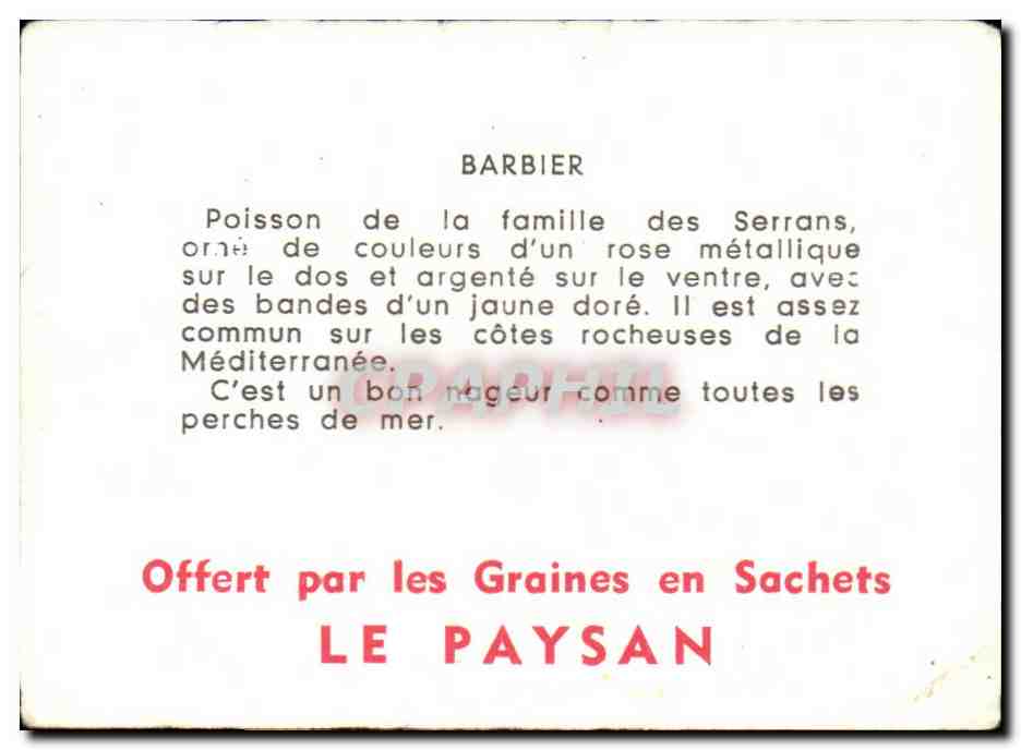 Image Barbier Poisson De La Famille Des Serrans — Verso