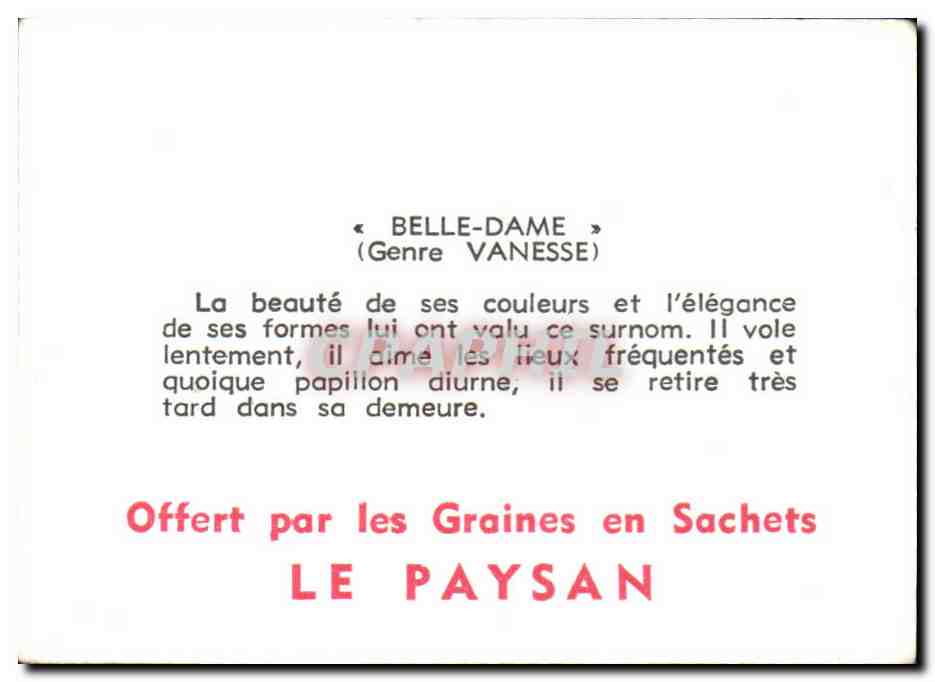 Image Belle Dame Papillon  — Verso