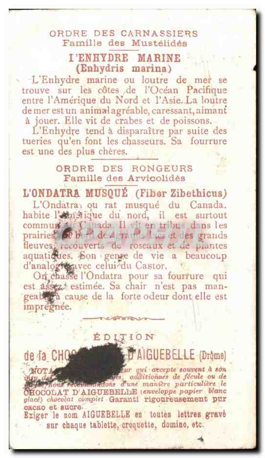 Chromo Chocolaterie d'Aiguebelle Carnassiers rongeurs Enhydre marine Ondatra musque — Back