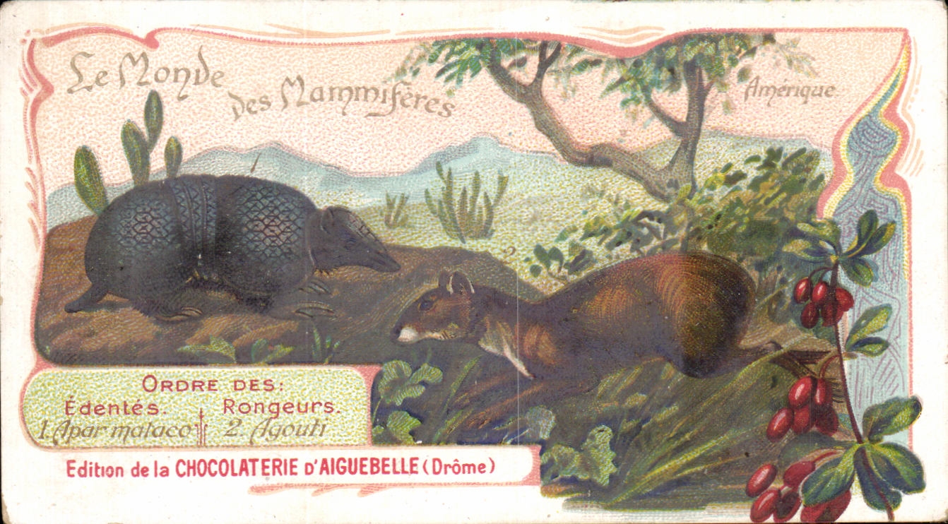 Chromo Chocolaterie d'Aiguebelle AmeriqueAgouti Apar malaco 