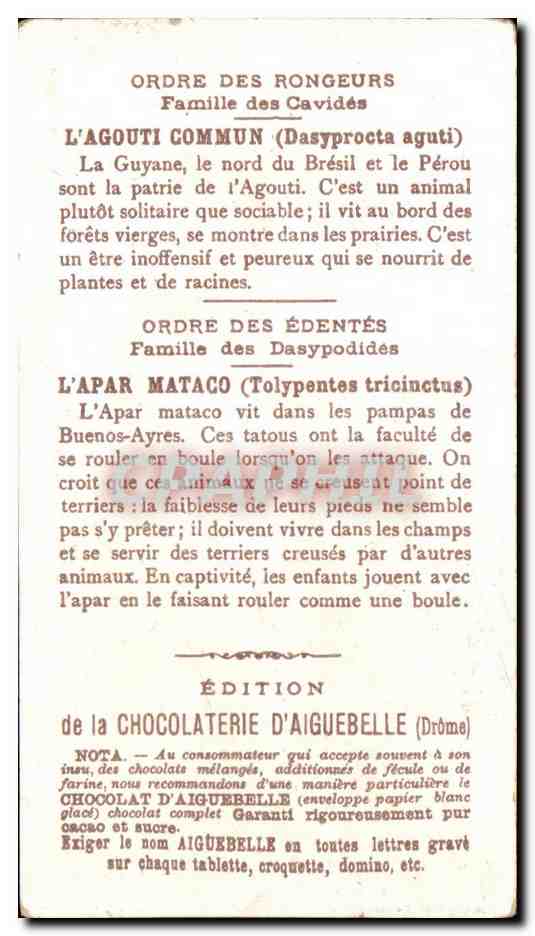 Chromo Chocolaterie d'Aiguebelle AmeriqueAgouti Apar malaco  — Rückseite