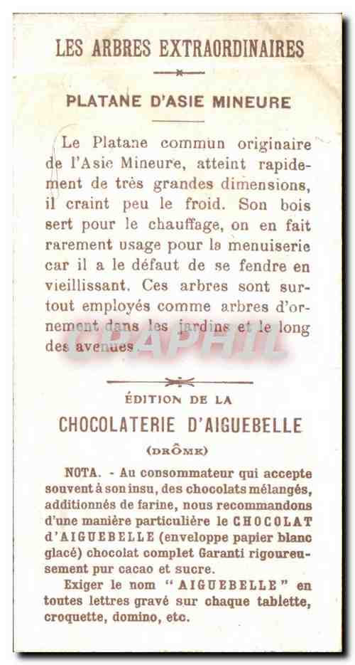 Chromo Chocolaterie d'Aiguebelle Platane d'Asie Mineure — Rückseite