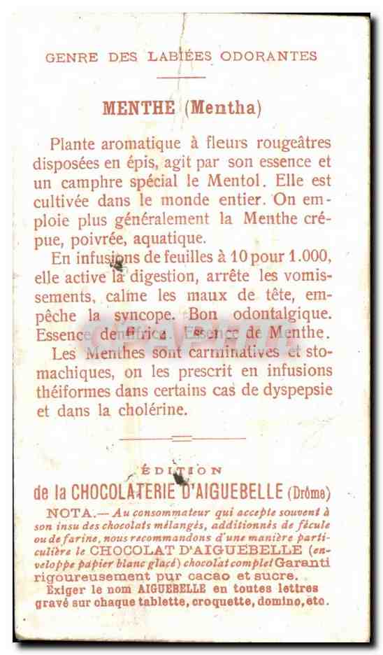 Chromo Chocolaterie d'Aiguebelle Les Plantes Medicinales Menthe Genre Des Labiees Odorantes Mentha — Rückseite