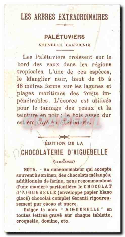 Chromo Chocolaterie d'Aiguebelle Paletuviers Nouvelle Caledonie — Rückseite