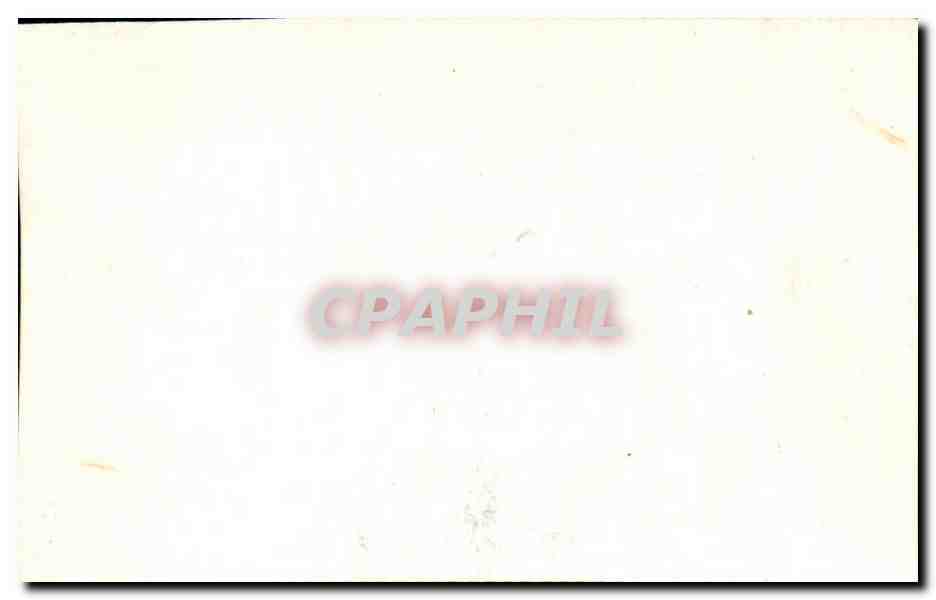 Image Sparus De Cussatus Poisson Fish — Verso