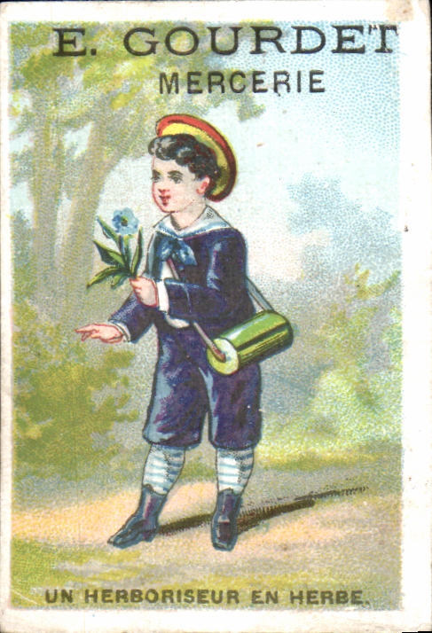 Image E Gourdet Mercerie Un Herboriseur En Herbe Rue des Orfevres Blois